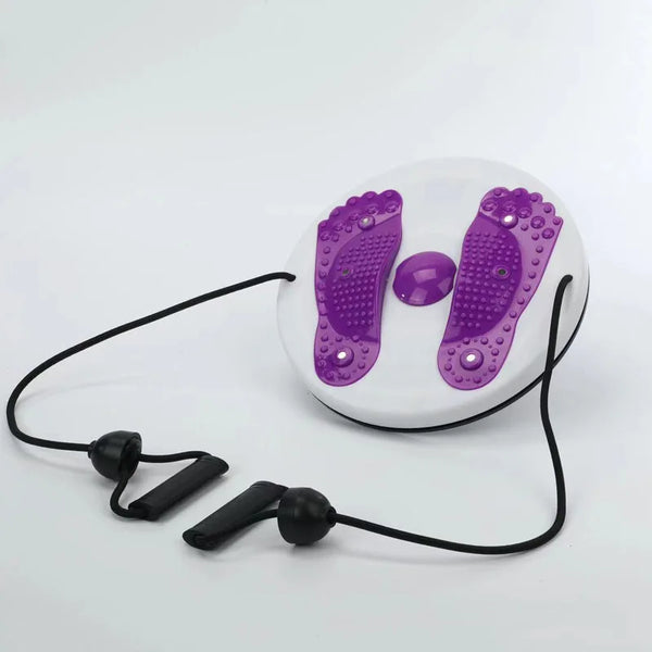 Magnetic Waist Twisting Disc